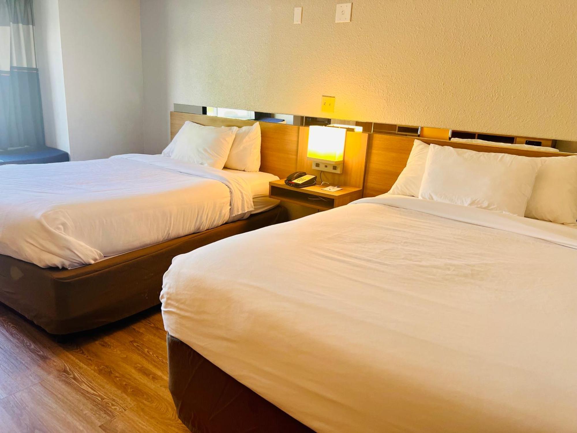 Microtel Inn By Wyndham Lexington Bagian luar foto